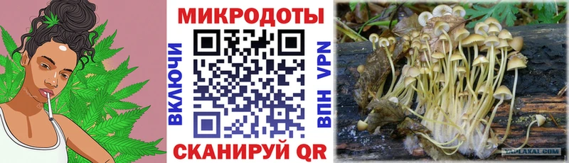 Галлюциногенные грибы GOLDEN TEACHER kraken онион Калач-на-Дону