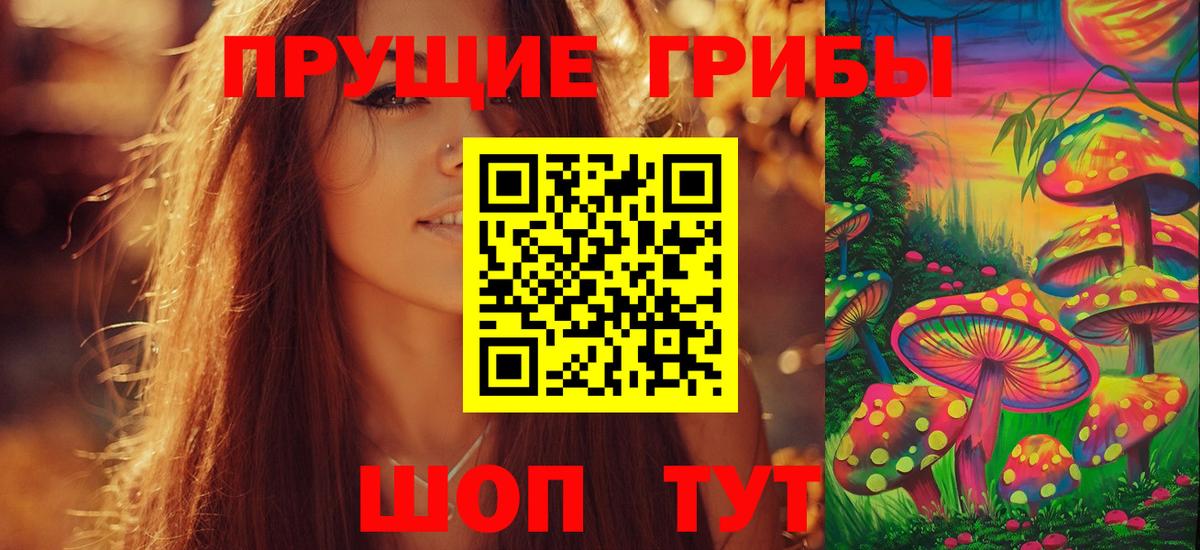 Галлюциногенные грибы Cubensis Калач-на-Дону