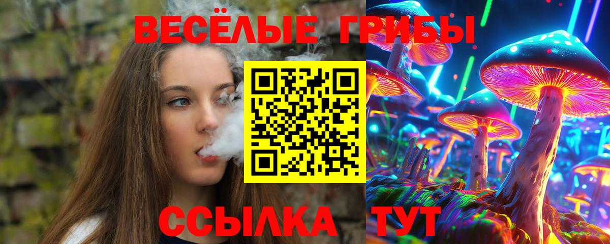 Калач-на-Дону  Галлюциногенные грибы GOLDEN TEACHER  Псилоцибиновые грибы GOLDEN TEACHER  купить   Вход с VPN 