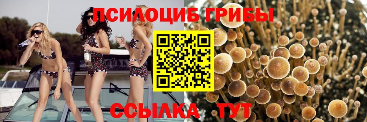 Псилоцибиновые грибы MAGIC MUSHROOMS  Псилоцибиновые грибы Psilocybe  Калач-на-Дону 