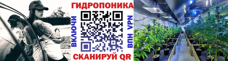 Бошки Шишки OG Kush  мега ONION  Калач-на-Дону 
